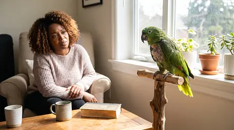 なぜ鳥が羽をむしっているのか？