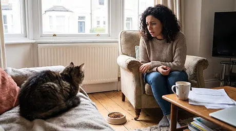 猫が食べない場合：原因と注意が必要なタイミング
